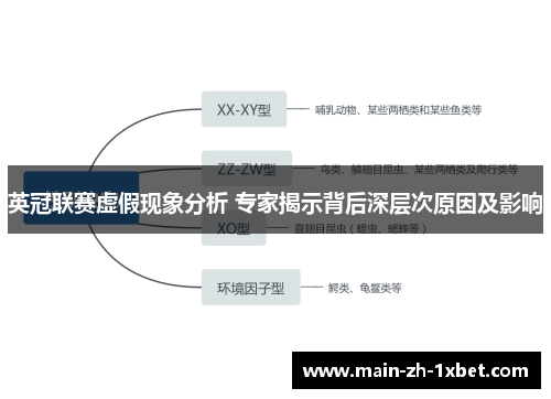 英冠联赛虚假现象分析 专家揭示背后深层次原因及影响