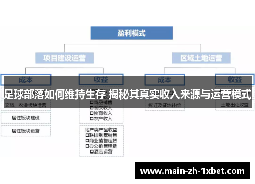 足球部落如何维持生存 揭秘其真实收入来源与运营模式