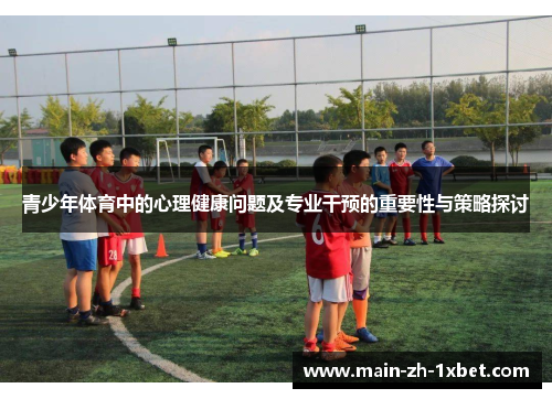 青少年体育中的心理健康问题及专业干预的重要性与策略探讨