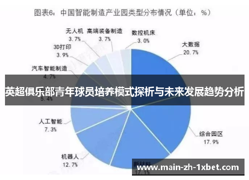 英超俱乐部青年球员培养模式探析与未来发展趋势分析 英超俱乐部青年球员培养模式探析与未来发展趋势分析