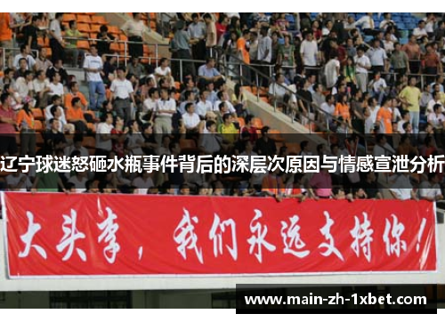 辽宁球迷怒砸水瓶事件背后的深层次原因与情感宣泄分析