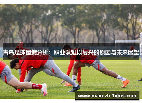 青岛足球困境分析：职业队难以复兴的原因与未来展望