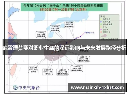 魏震遭禁赛对职业生涯的深远影响与未来发展路径分析